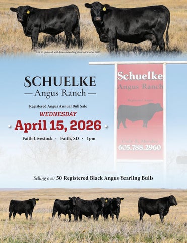 Schuelke Angus Ranch Registered Angus Annual Bull Sale