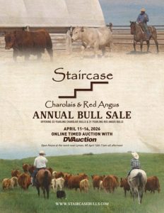 Staircase Charolais & Red Angus Annual Bull Sale