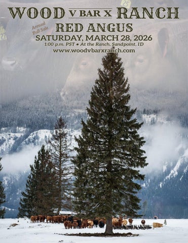 Wood V Bar X Ranch Red Angus Annual Bull Sale