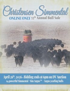 Christensen Simmental Online Only 55th Annual Bull Sale