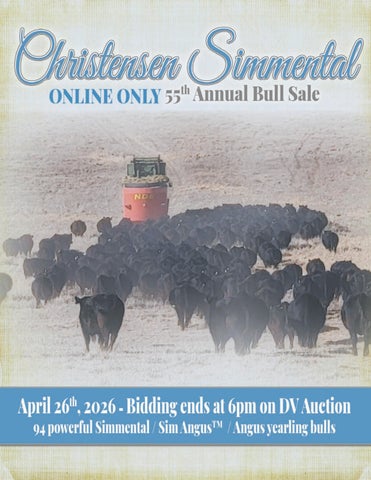 Christensen Simmental Online Only 55th Annual Bull Sale