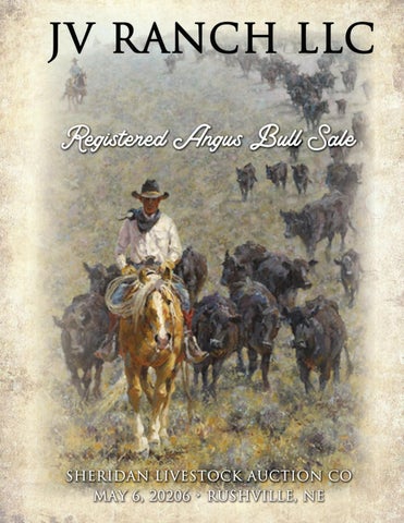 JV Ranch LLC Registered Angus Bull Sale