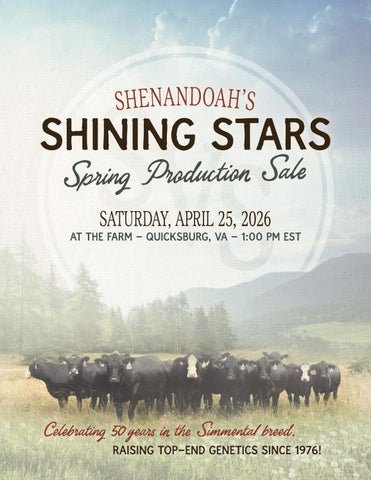 Shenandoah Valley Simmentals Shining Stars Spring Production Sale