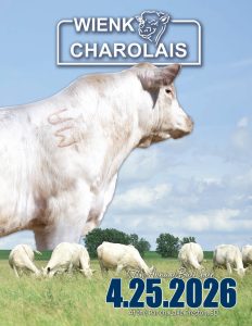 Wienk Charolais Spring Bull Sale