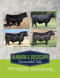 Alabama & Mississippi Simmental Sale