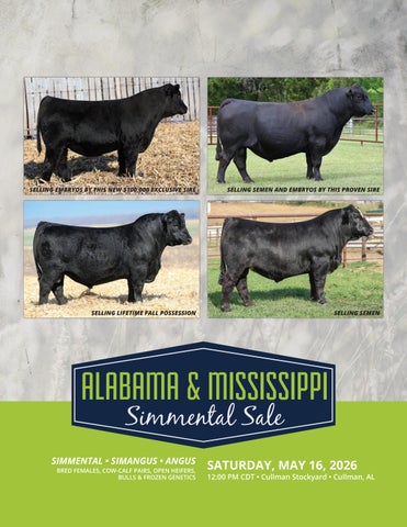 Alabama & Mississippi Simmental Sale